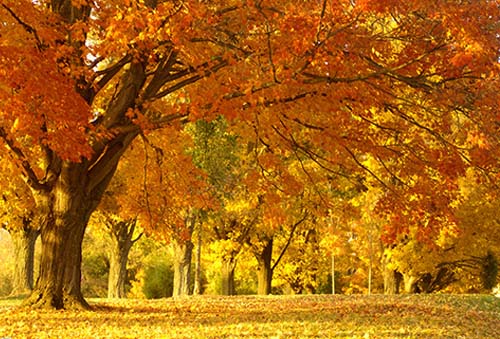 ����鿴����!