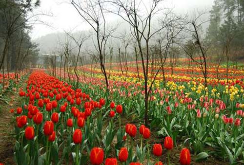 ����鿴����!