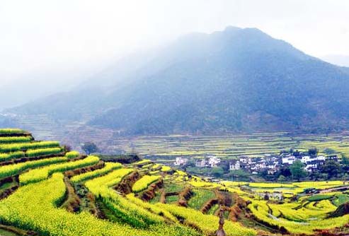 ����鿴����!