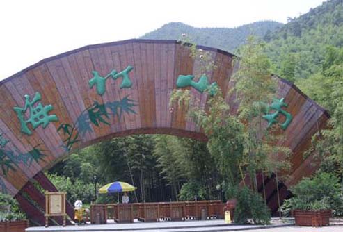 ����鿴����!