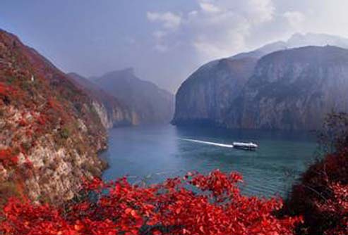 ����鿴����!