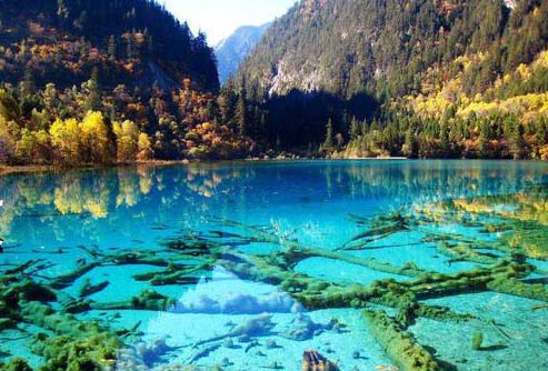 ����鿴����!