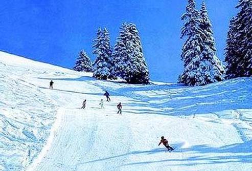 ����鿴����!