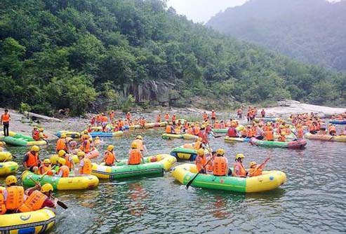 ����鿴����!