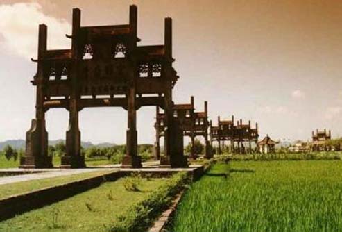 ����鿴����!