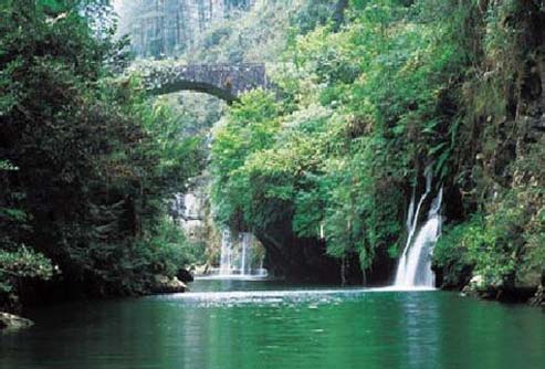 ����鿴����!