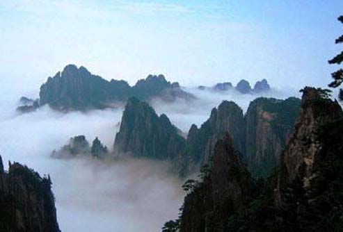 ����鿴����!