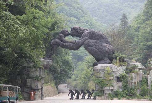 ����鿴����!