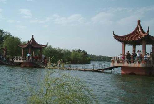 ����鿴����!