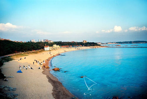 ����鿴����!