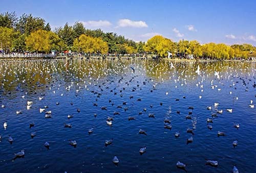 ����鿴����!