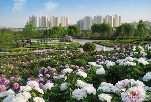 ����鿴����!