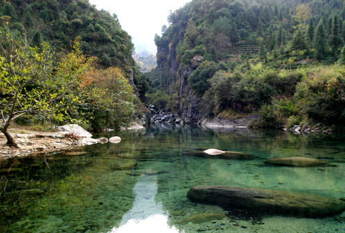 ����鿴����!