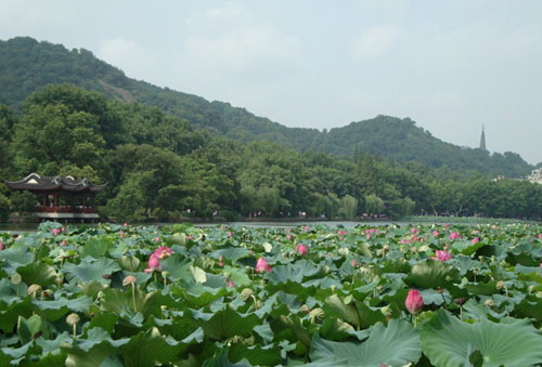 ����鿴����!