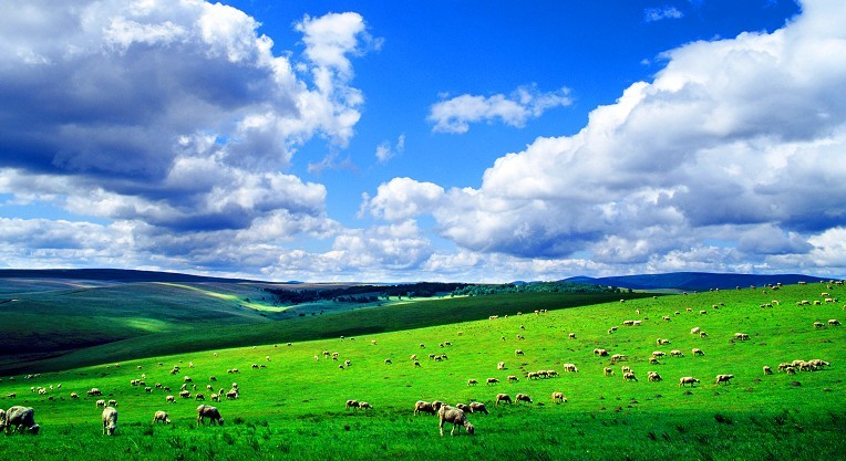 ����鿴����!