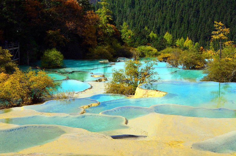 ����鿴����!